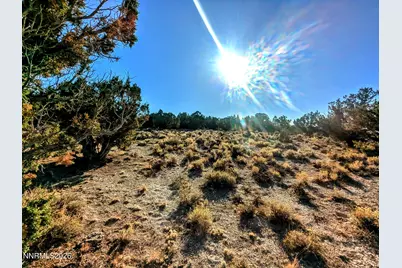 0 Twelvemile Cyn Road, Montello, NV 89830 - Photo 6