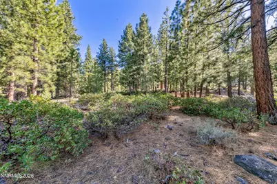 1205 Douglas Fir Drive, Reno, NV 89511 - Photo 22