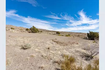 1250 Freds Mountain Road, Reno, NV 89508 - Photo 10