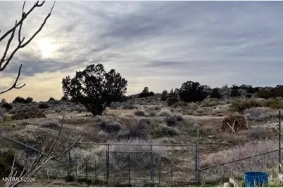 215 Danforth Drive, Sun Valley, NV 89433 - Photo 18