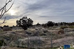 215 Danforth Dr, Sun Valley, NV 89433 - Photo 18