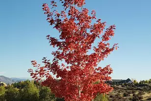 5452 Salmon River Ct, Reno, NV 89511 - Photo 104