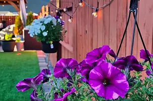 17670 Yearling Ct, Reno, NV 89508 - Photo 44