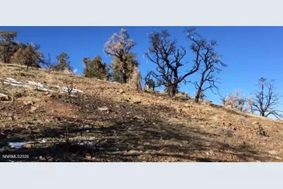 8522 Pinenut Creek Road, Gardnerville, NV 89410 - Photo 8