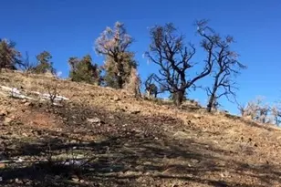 8522 Pinenut Creek Rd, Gardnerville, NV 89410 - Photo 8