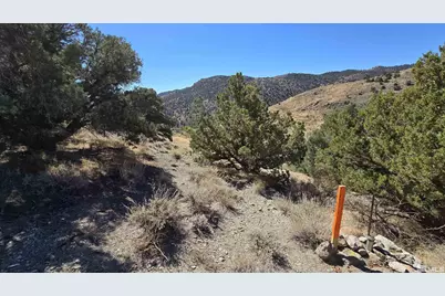 004-311-01 Six Mile Canyon Road, Virginia City, NV 89440 - Photo 16