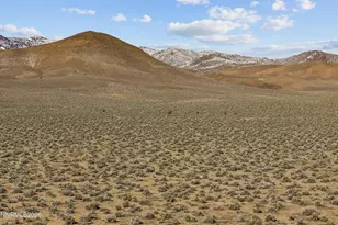 594 Pne Crk Cir, Dayton, NV 89403 - Photo 44