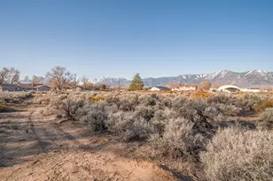 1356 Stephanie Way, Minden, NV 89423 - Photo 16