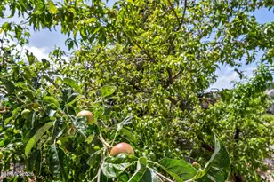 5808 Tannerwood Dr, Reno, NV 89511 - Photo 96