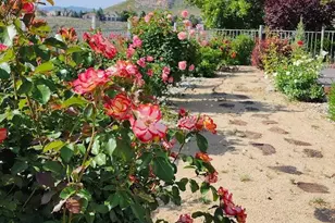 2664 Starr Meadows Loop, Reno, NV 89519 - Photo 54