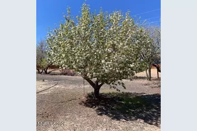 1500 W Spruce Avenue #1500, Silver Springs, NV 89429 - Photo 14