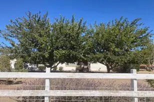 1500 W Spruce Ave, Silver Springs, NV 89429 - Photo 4