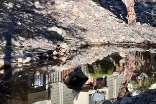 3012 Eastshore Pl, Reno, NV 89509 - Photo 22