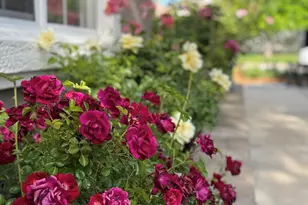 1797 Trek Trail, Reno, NV 89521 - Photo 8