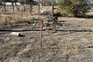 3845 Elm St, Silver Springs, NV 89429 - Photo 6