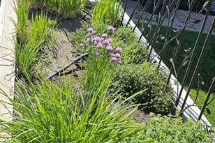 9728 Silverspar St, Reno, NV 89521 - Photo 22