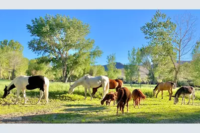 156 E Walker Road, Yerington, NV 89447 - Photo 46