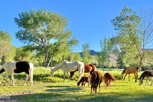 156 E Walker Rd, Yerington, NV 89447 - Photo 46