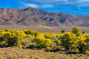 156 E Walker Rd, Yerington, NV 89447 - Photo 44