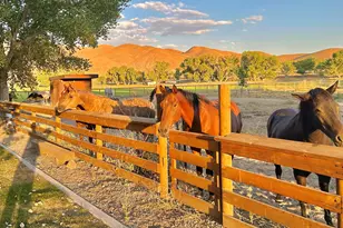 156 E Walker Rd, Yerington, NV 89447 - Photo 30