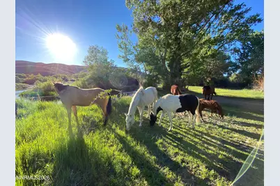156 E Walker Road, Yerington, NV 89447 - Photo 26