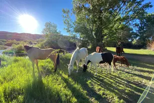 156 E Walker Rd, Yerington, NV 89447 - Photo 26