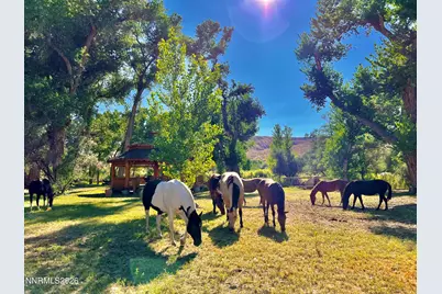 156 E Walker Road, Yerington, NV 89447 - Photo 28