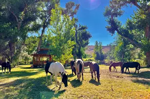 156 E Walker Rd, Yerington, NV 89447 - Photo 28