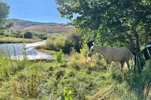 156 E Walker Rd, Yerington, NV 89447 - Photo 20