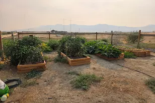 5355 Godchaux Rd, Winnemucca, NV 89445 - Photo 30