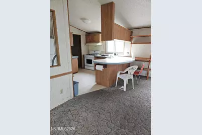 255 Danforth Drive, Sun Valley, NV 89433 - Photo 12