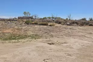 1080 Tarzyn Rd, Fallon, NV 89406 - Photo 10