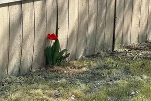 7075 Stratus St, Winnemucca, NV 89445 - Photo 28