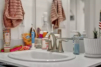 1151 Dapple Drive, Minden, NV 89423 - Photo 74