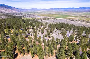 171 Summit Ridge Way, Gardnerville, NV 89460 - Photo 64