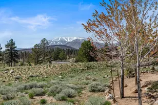 201 S Argyle Ct, Reno, NV 89511 - Photo 88