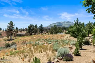 201 S Argyle Ct, Reno, NV 89511 - Photo 86