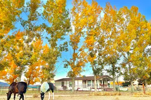 2801 Tamara Ct, Minden, NV 89423 - Photo 46