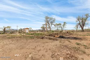 1401 Nevada 208, Yerington, NV 89447 - Photo 28