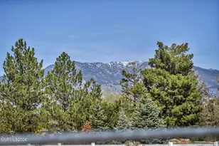 1355 Jackie Ln, Minden, NV 89423 - Photo 54