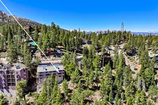 261 Quaking Aspen Ln, Stateline, NV 89449 - Photo 8
