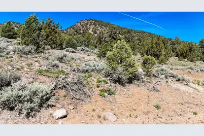 2120 Castle Peak Road, Reno, NV 89521 - Photo 18