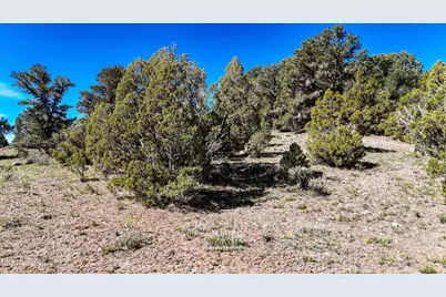 2120 Castle Peak Road, Reno, NV 89521 - Photo 28