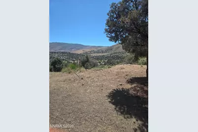 3660 Boulder Road, Topaz Ranch Estates, NV 89444 - Photo 8