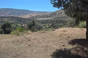 3660 Boulder Rd, Topaz Ranch Estates, NV 89444 - Photo 8
