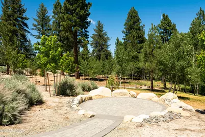 256 Forest Hill Way, Gardnerville, NV 89460 - Photo 48