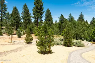 256 Forest Hill Way, Gardnerville, NV 89460 - Photo 56