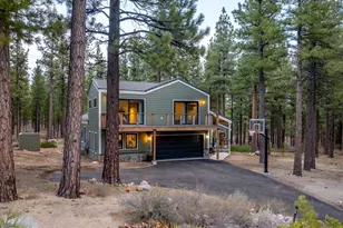 1005 Joy Lake Rd, Reno, NV 89511 - Photo 8