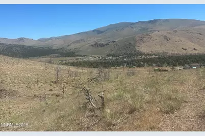 930 Cavelti Road, Gardnerville, NV 89410 - Photo 16