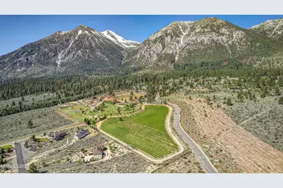 301 Five Creek Road, Gardnerville, NV 89460 - Photo 4